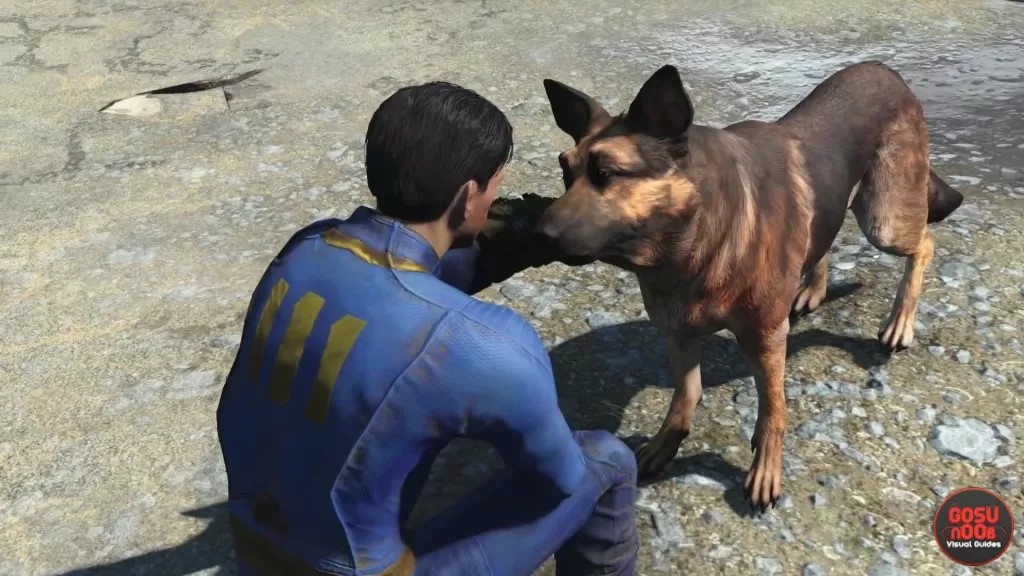 fallout 4 dogmeat