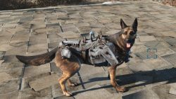 heavy dog armor dogmeat