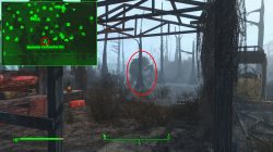 how to kill mirelurk queen fallout 4