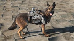 light dog armor dogmeat
