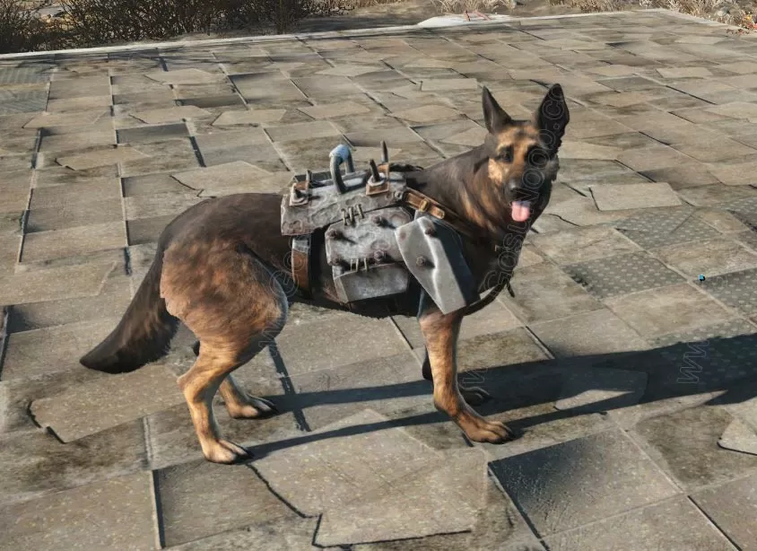 light dog armor dogmeat