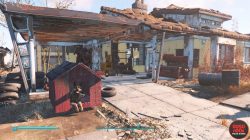 where to find dogmeat in settlement