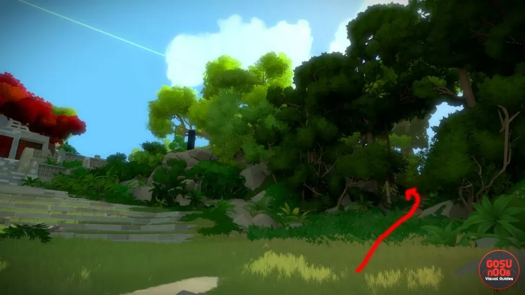 Finding Jungle Puzzles the witness