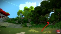 Finding Jungle Puzzles the witness