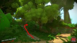 Finding the first Jungle Puzzle the witness