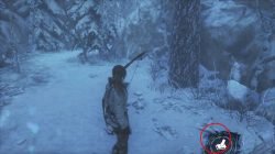 rise of the tomb raider coin cache locations siberia