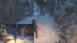 rise of the tomb raider siberian wilderness document