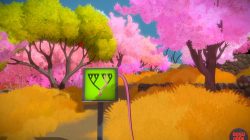 the witness pink tree puzzle