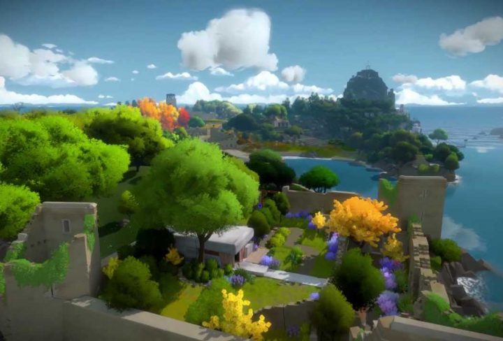 the witness preorders open price revealed