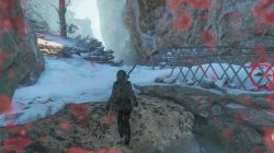 tomb raider ice cave collectibles
