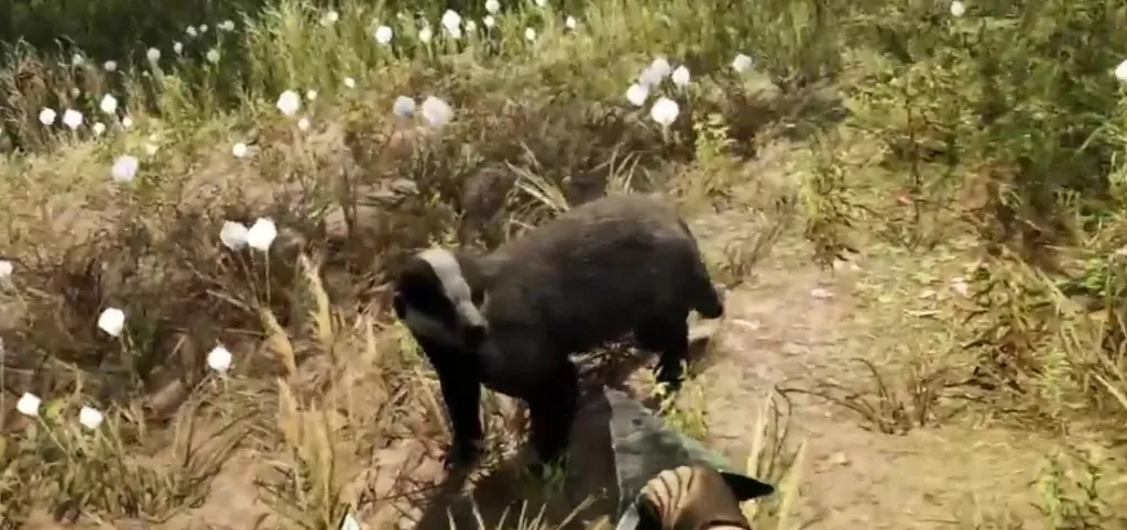 Far Cry Primal Animals Badger