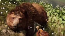 Far Cry Primal Animals Brown Bear