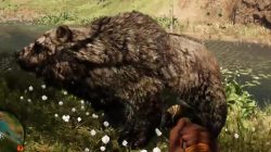 Far Cry Primal Animals Cave Bear