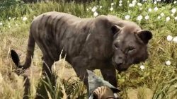 Far Cry Primal Animals Cave Lion