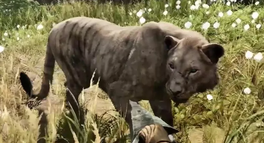 Far Cry Primal Animals Cave Lion