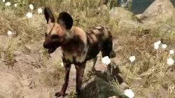 Far Cry Primal Animals Dhole