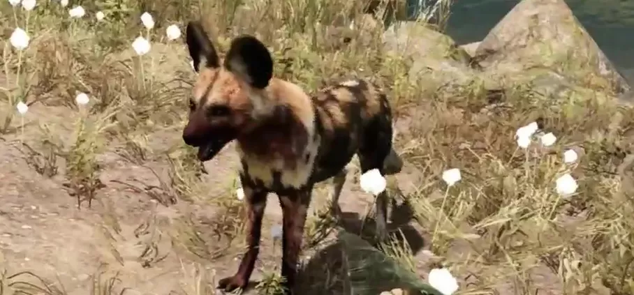 Far Cry Primal Animals Dhole