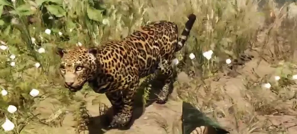 Far Cry Primal Animals Jaguar