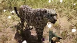 Far Cry Primal Animals Leopard