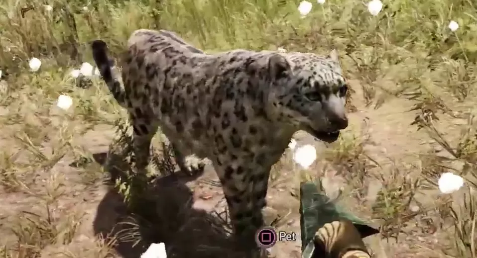 Far Cry Primal Animals Leopard