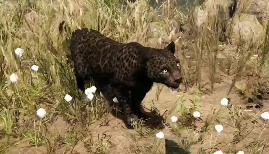 Far Cry Primal Animals Rare Black Jaguar