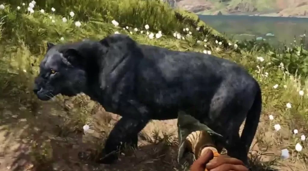 Far Cry Primal Animals Rare Black Lion