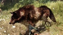 Far Cry Primal Animals Rare Stripe Wolf