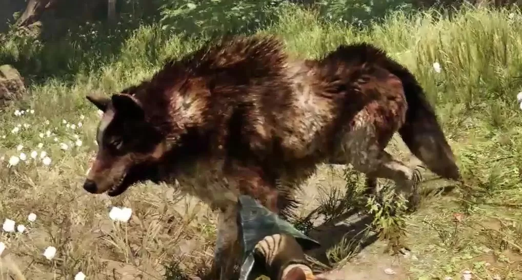 Far Cry Primal Animals Rare Stripe Wolf