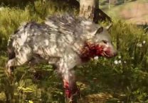 Far Cry Primal Animals Snowblood Wolf