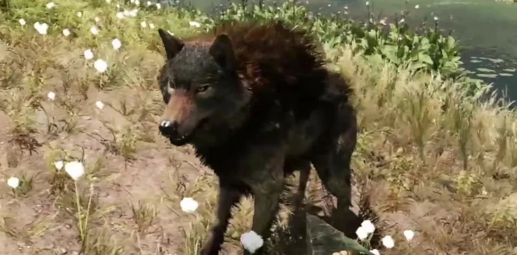 Far Cry Primal Animals Wolf