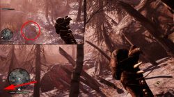 Udam Camp Far Cry Primal Wooden Stakes