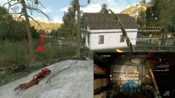 winter camo color location dying light