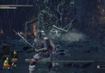 dark souls 3 curse rotted greatwood boss