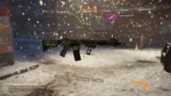 division tigerstripe neon weapon skin