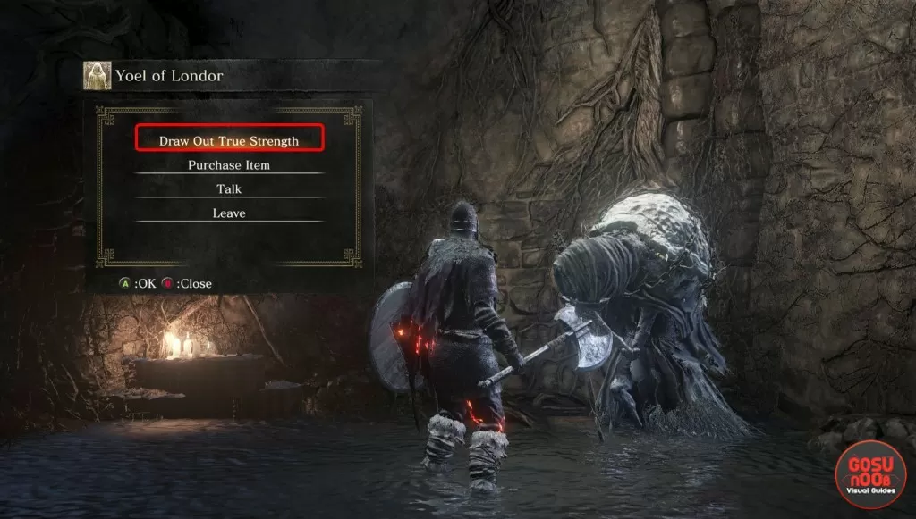 dks3 dark sigil leveling