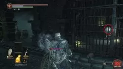 dks3 prisoner chief ash location