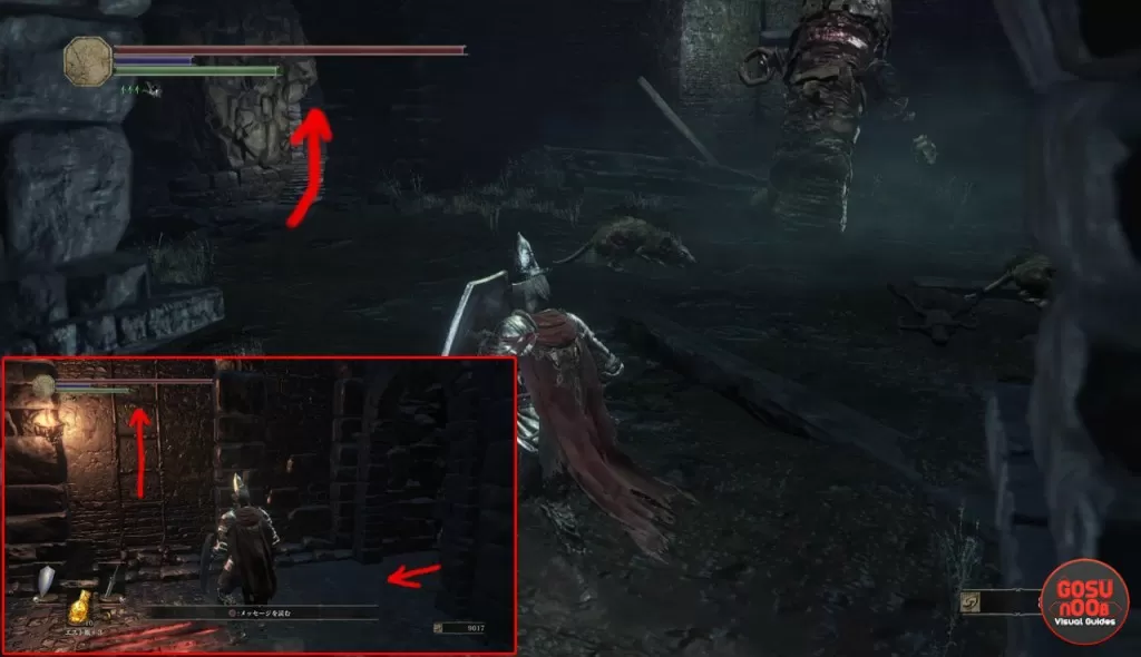 dks3 siegward cell key location