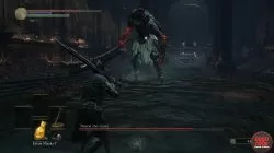 dks3 siegward yhorm fight