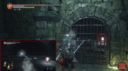 xanthous ash location irithyll dungeon