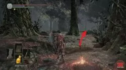 Crucifixion Woods Sage Ring Dark Souls 3