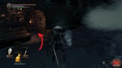 Grave Key Unlocks This Door Dark Souls 3