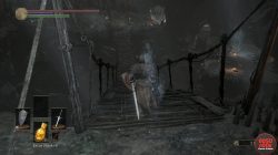 High Lord Wolnir Wooden Bridge Dark Souls 3