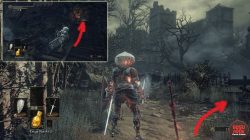 Sewers Untended Graves Location Dark Souls 3