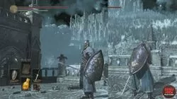 Shield of Want Dark Souls 3