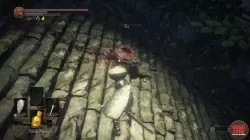 Spider Shield Location Dark Souls 3