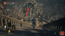 Where to Find Curse Ward Greatshield Dark Souls 3