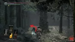 Where to find Sage Ring Dark Souls 3