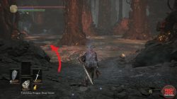 Where to Find Shield of Want Dark Souls 3