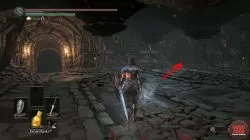 demon ruins hidden wall dks3