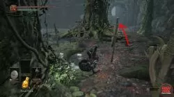 dks3 farron coal location